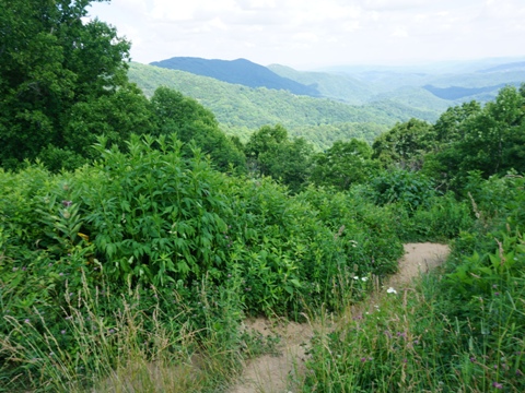 Biking North Carolina High Country, North Carolina, BikeTripper.net