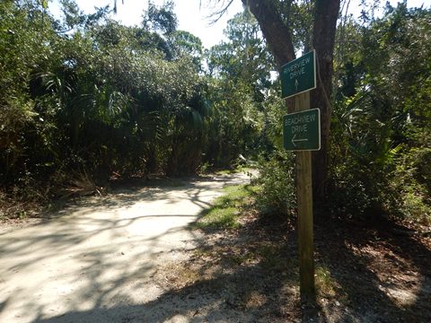 bike Georgia, Jekyll Island, biking, BikeTripper.net