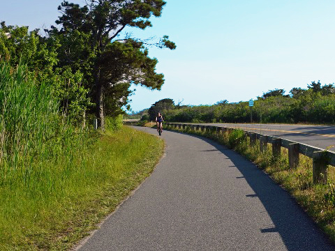 bike Mmaryland, Assateague Island Bike Path, biking, BikeTripper.net