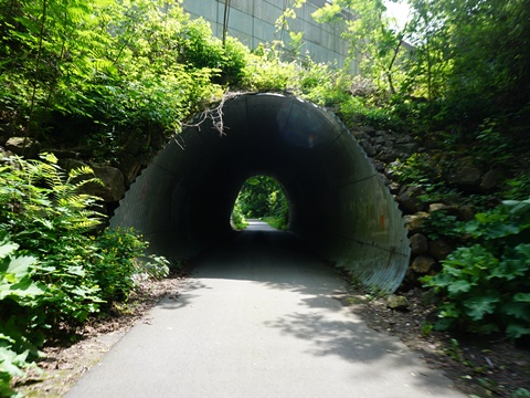 bike New York, Erie Canalway Trail, east-central section, biking, BikeTripper.net