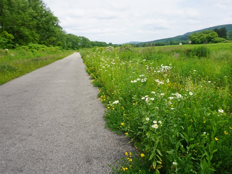 bike New York, Erie Canalway Trail, east-central section, biking, BikeTripper.net