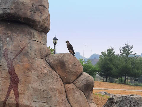 bike New York, Erie Canalway Trail, east section, biking, BikeTripper.net