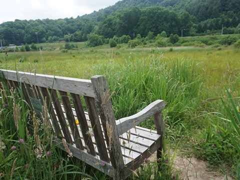 bike North Carolina, Boone Greenway, biking, BikeTripper.net