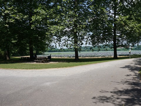 bike North Carolina, Yadkin River Greenway, biking, BikeTripper.net