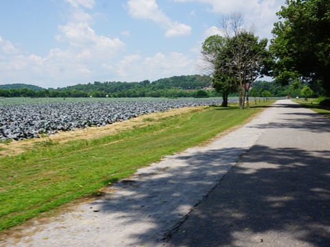 bike North Carolina, Yadkin River Greenway, biking, BikeTripper.net