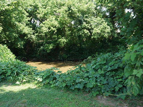 bike North Carolina, Yadkin River Greenway, biking, BikeTripper.net