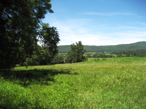 biking, Great Smoky Mountains, Cades Cove