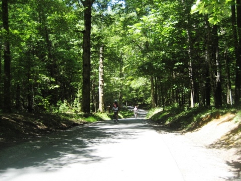 biking, Great Smoky Mountains, Cades Cove