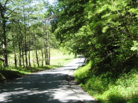 biking, Great Smoky Mountains, Cades Cove