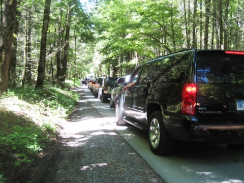 biking, Great Smoky Mountains, Cades Cove