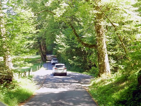 biking, Great Smoky Mountains, Cades Cove