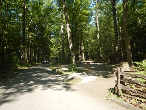 biking, Great Smoky Mountains, Cades Cove