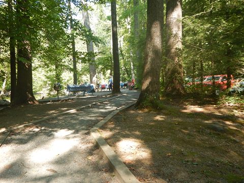 biking, Great Smoky Mountains, Cades Cove