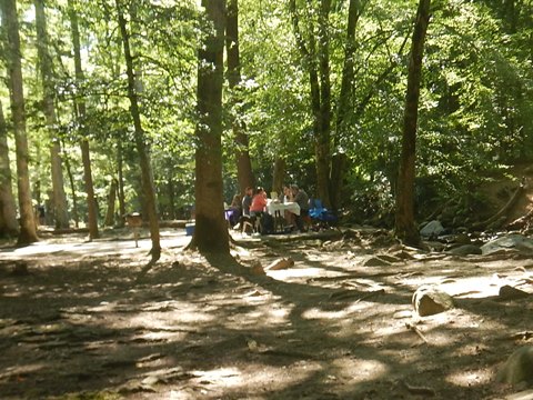 biking, Great Smoky Mountains, Cades Cove