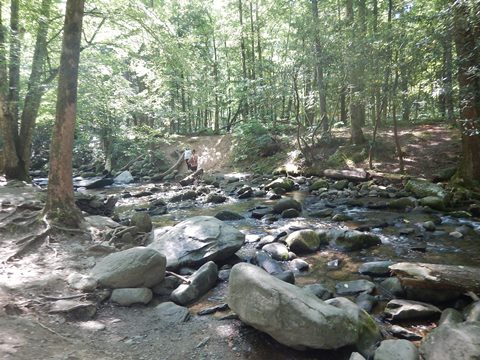 biking, Great Smoky Mountains, Cades Cove