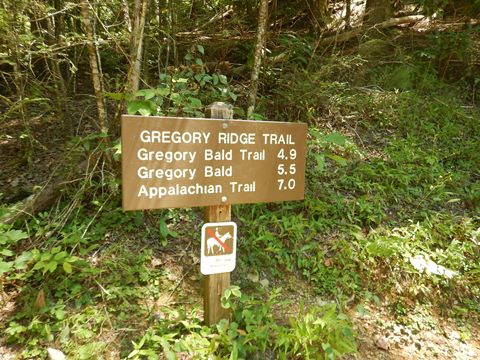 biking, Great Smoky Mountains, Cades Cove