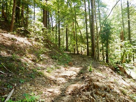 biking, Great Smoky Mountains, Cataloochee Valley