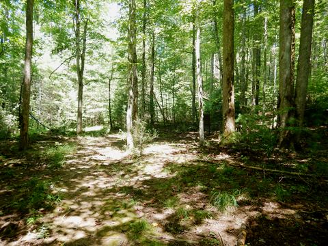 biking, Great Smoky Mountains, Cades Cove