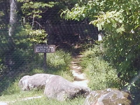 biking, Great Smoky Mountains, Cades Cove