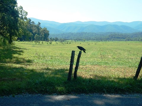 biking, Great Smoky Mountains, Cades Cove