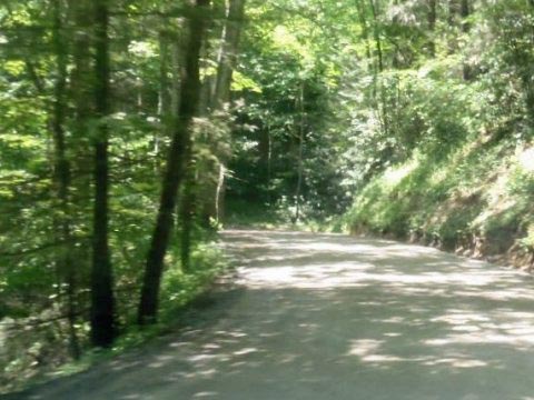 biking, Great Smoky Mountains, Cataloochee Valley