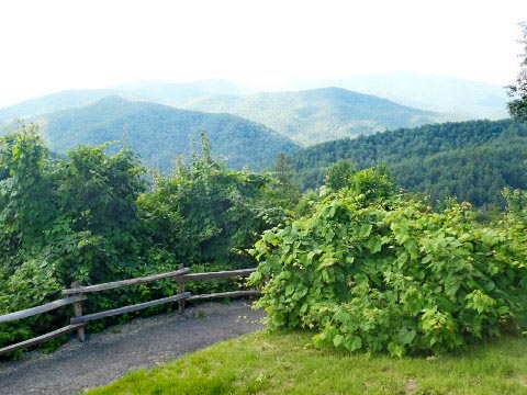 biking, Great Smoky Mountains, Cataloochee Valley