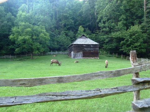 biking, Great Smoky Mountains, Cataloochee Valley