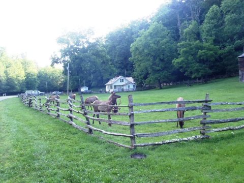 biking, Great Smoky Mountains, Cataloochee Valley