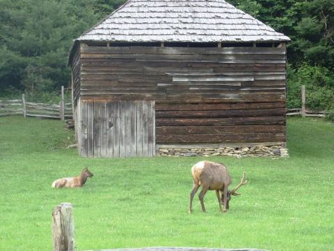 biking, Great Smoky Mountains, Cataloochee Valley