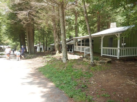 hiking, Great Smoky Mountains, Elkmont, Little River Trail