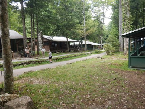 hiking, Great Smoky Mountains, Elkmont, Little River Trail