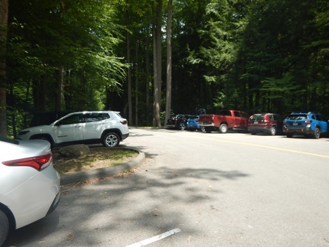 hiking, Great Smoky Mountains, Elkmont, Little River Trail