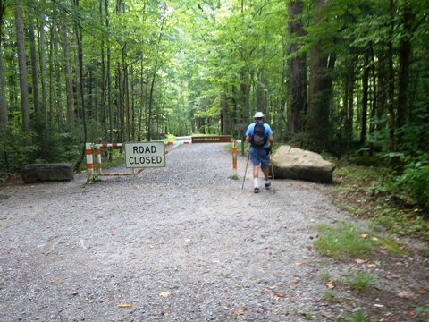 hiking, Great Smoky Mountains, Elkmont, Little River Trail