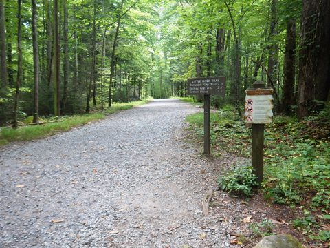 hiking, Great Smoky Mountains, Elkmont, Little River Trail