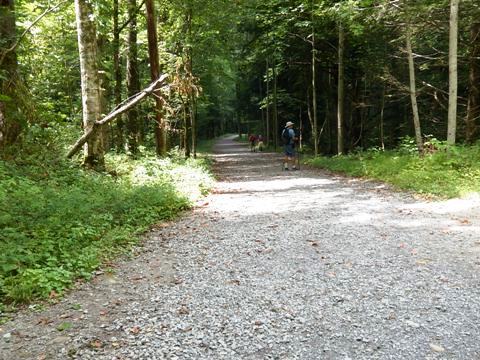 hiking, Great Smoky Mountains, Elkmont, Little River Trail