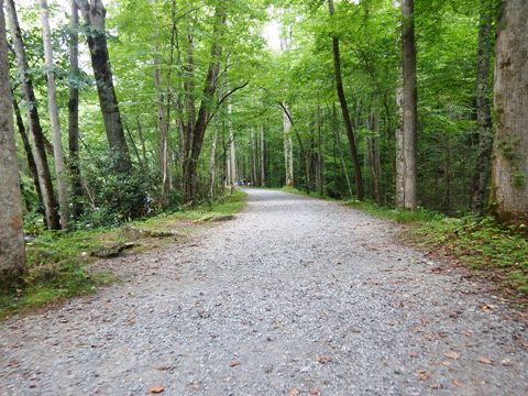 hiking, Great Smoky Mountains, Elkmont, Little River Trail