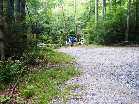 hiking, Great Smoky Mountains, Elkmont, Little River Trail