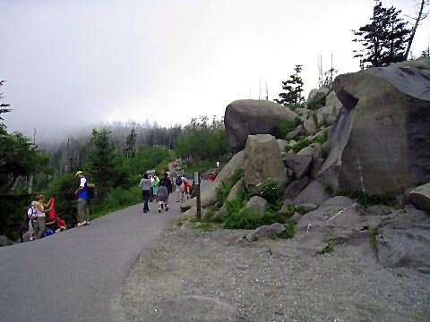 hiking, Great Smoky Mountains, Clingmans Dome