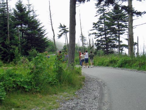 hiking, Great Smoky Mountains, Clingmans Dome