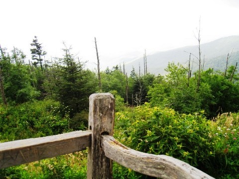 hiking, Great Smoky Mountains, Clingmans Dome