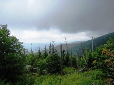 hiking, Great Smoky Mountains, Clingmans Dome