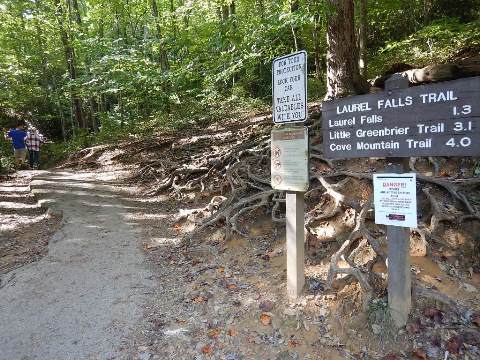 hiking, Great Smoky Mountains, Laurel Falls