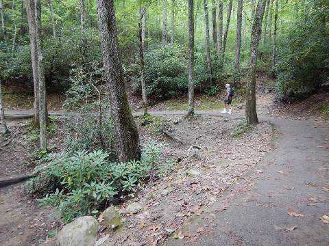 hiking, Great Smoky Mountains, Laurel Falls