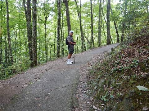 hiking, Great Smoky Mountains, Laurel Falls