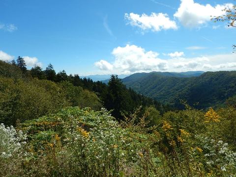 hiking, Great Smoky Mountains, Newfound Gap, Allegheny Trail