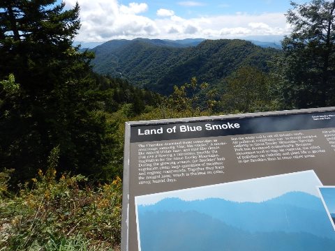 hiking, Great Smoky Mountains, Newfound Gap, Allegheny Trail