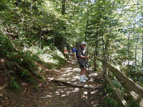 hiking, Great Smoky Mountains, Newfound Gap, Allegheny Trail