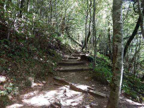 hiking, Great Smoky Mountains, Newfound Gap, Allegheny Trail