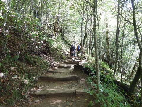 hiking, Great Smoky Mountains, Newfound Gap, Allegheny Trail