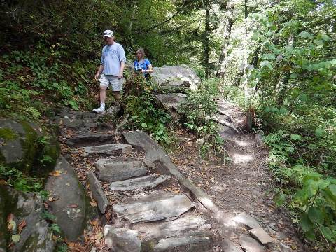 hiking, Great Smoky Mountains, Newfound Gap, Allegheny Trail